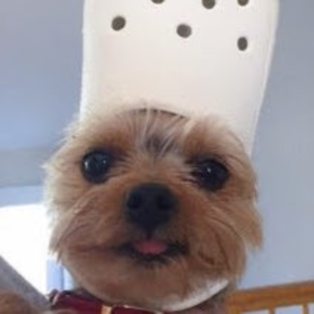Meet your Posher, Nina